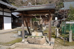 日本 大阪 奈良 旅游