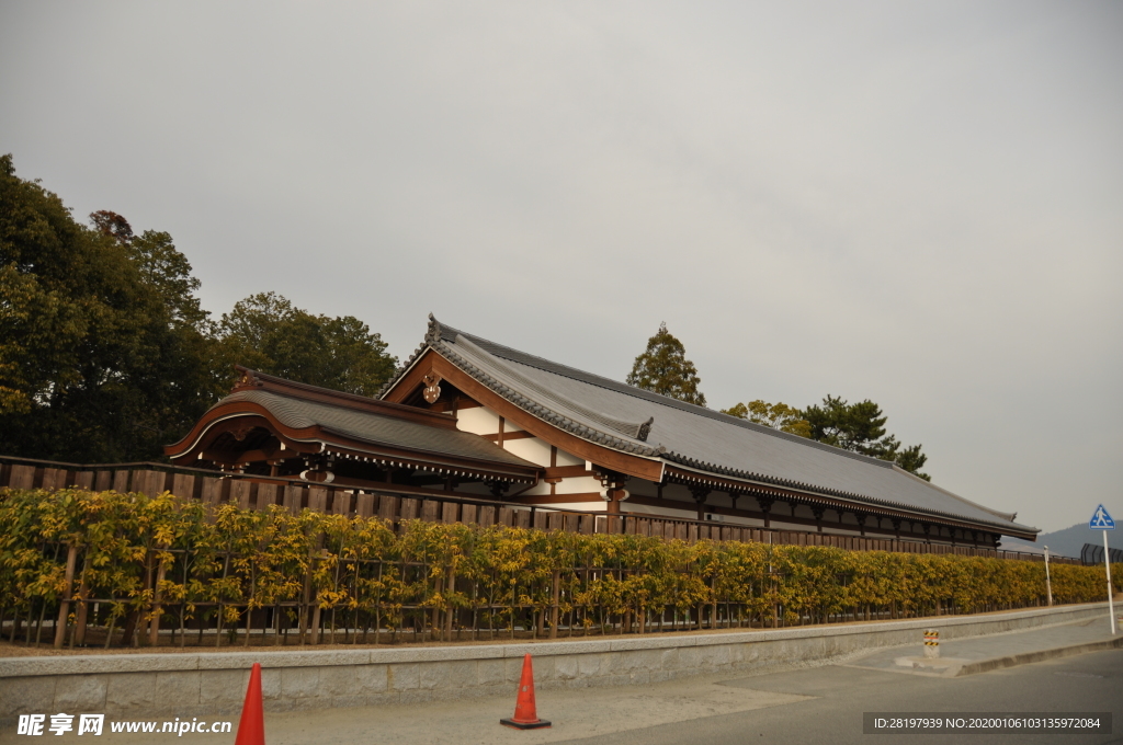 日本 大阪 奈良 旅游