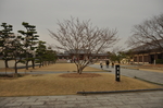 日本 大阪 奈良 旅游