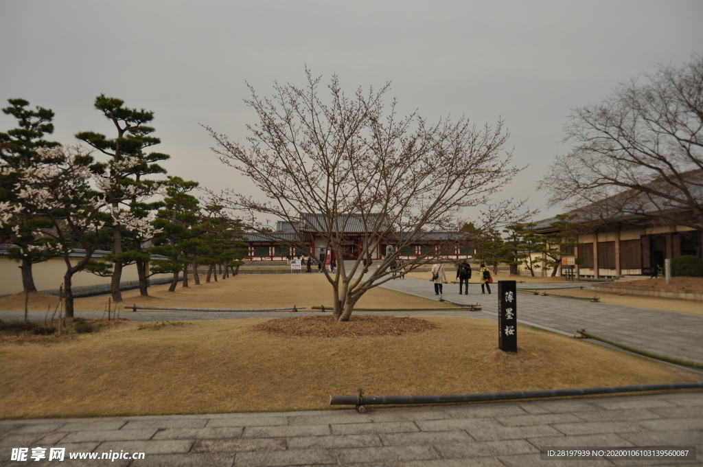 日本 大阪 奈良 旅游