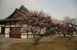 日本 大阪 奈良 旅游