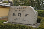 日本大阪奈良旅游拍摄