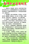 教师职业道德