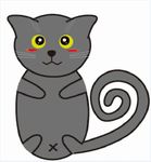 卡通猫