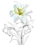 花