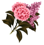 花
