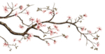 花鸟