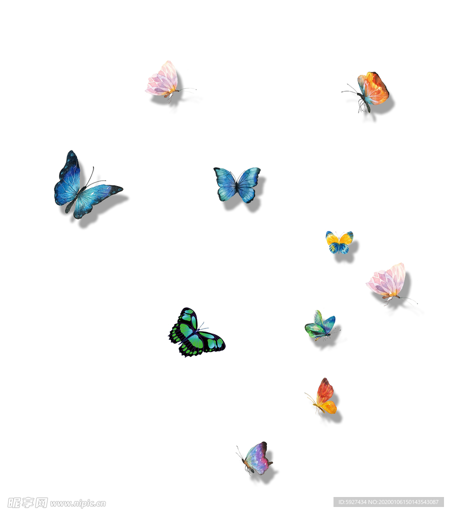 蝴蝶