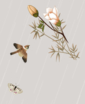 花鸟