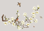 花鸟