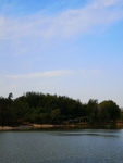 风景