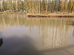 风景