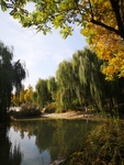风景