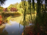 风景