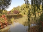 风景