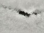 雪