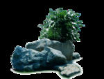 假山