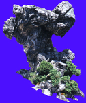 假山