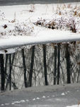 冬天雪景