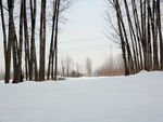 冬天雪景
