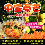 中宝泰芒