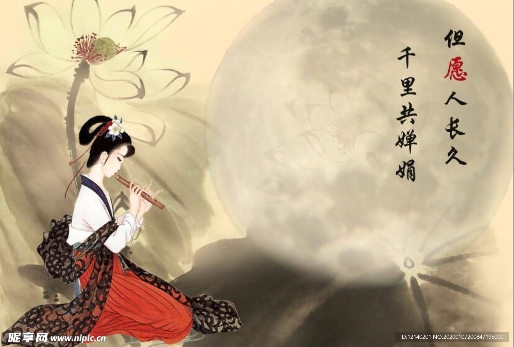 中国风美女荷花