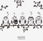 树枝猫头鹰