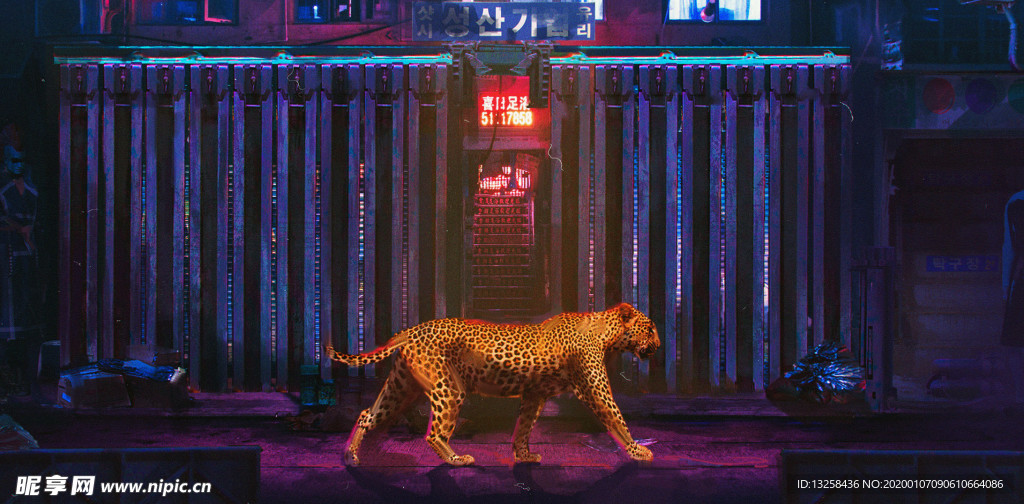 猎豹城市街道灯光夜景