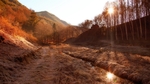 群山森林小路风景阳光