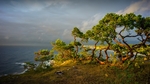 群山海洋树木天空风景