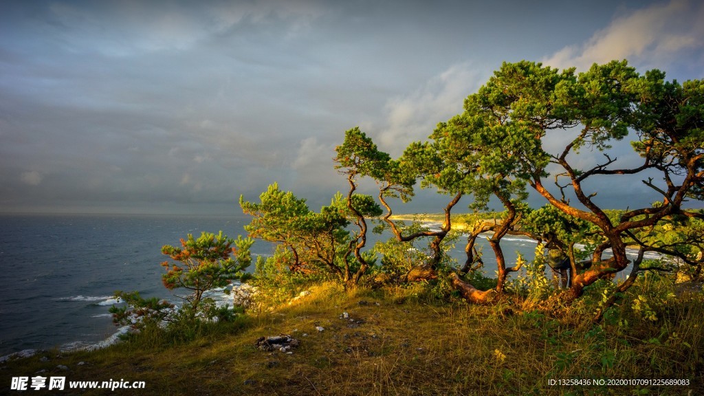 群山海洋树木天空风景