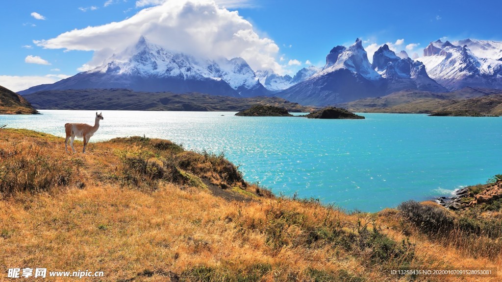 群山湖泊草地天空风景