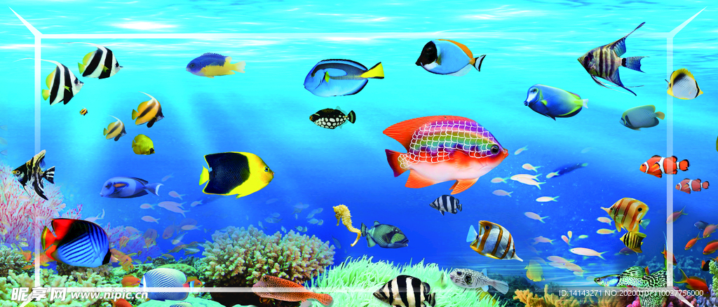 海洋鱼水族馆
