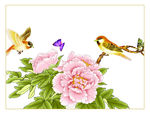 花鸟国画