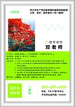 老师简介
