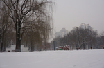 雪景的东北一角