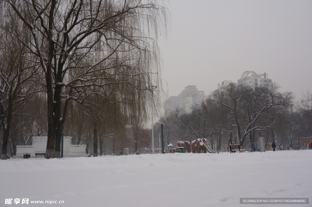 雪景的东北一角