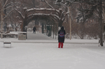 雪天的东北