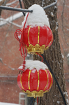 红灯笼雪景