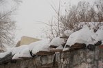 房檐雪景一角