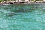 礁石海岸线
