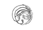 中国古典花纹