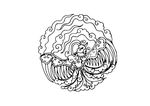 中国古典花纹