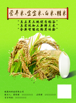 大米水稻粮食食品绿色海报宣传单