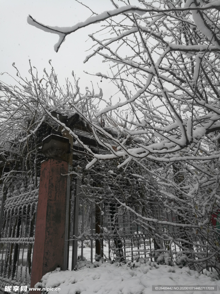 雪景