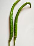绿色 健康 有机 二荆条 辣椒
