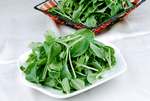 鸡毛菜