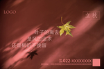 地产 节气 单图 立秋 落叶