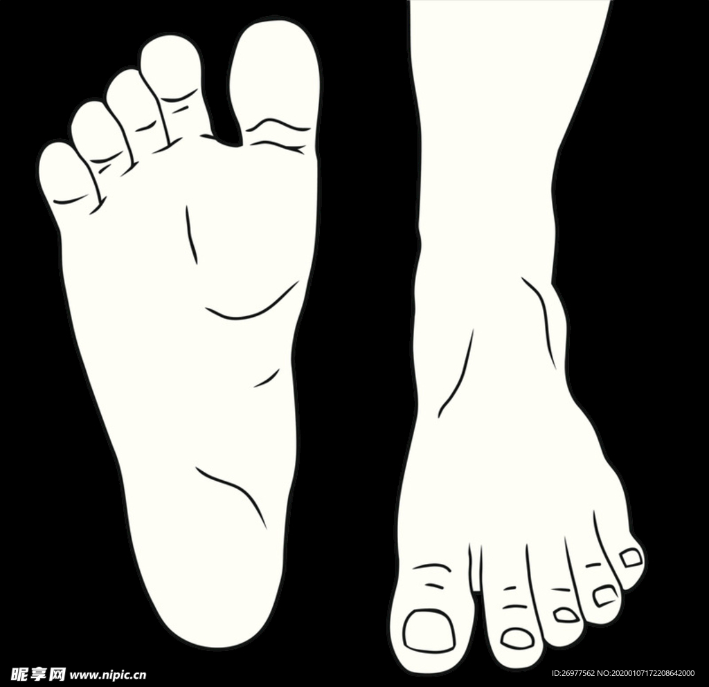 线描的脚 脚趾头 走路的脚掌