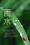 雨水